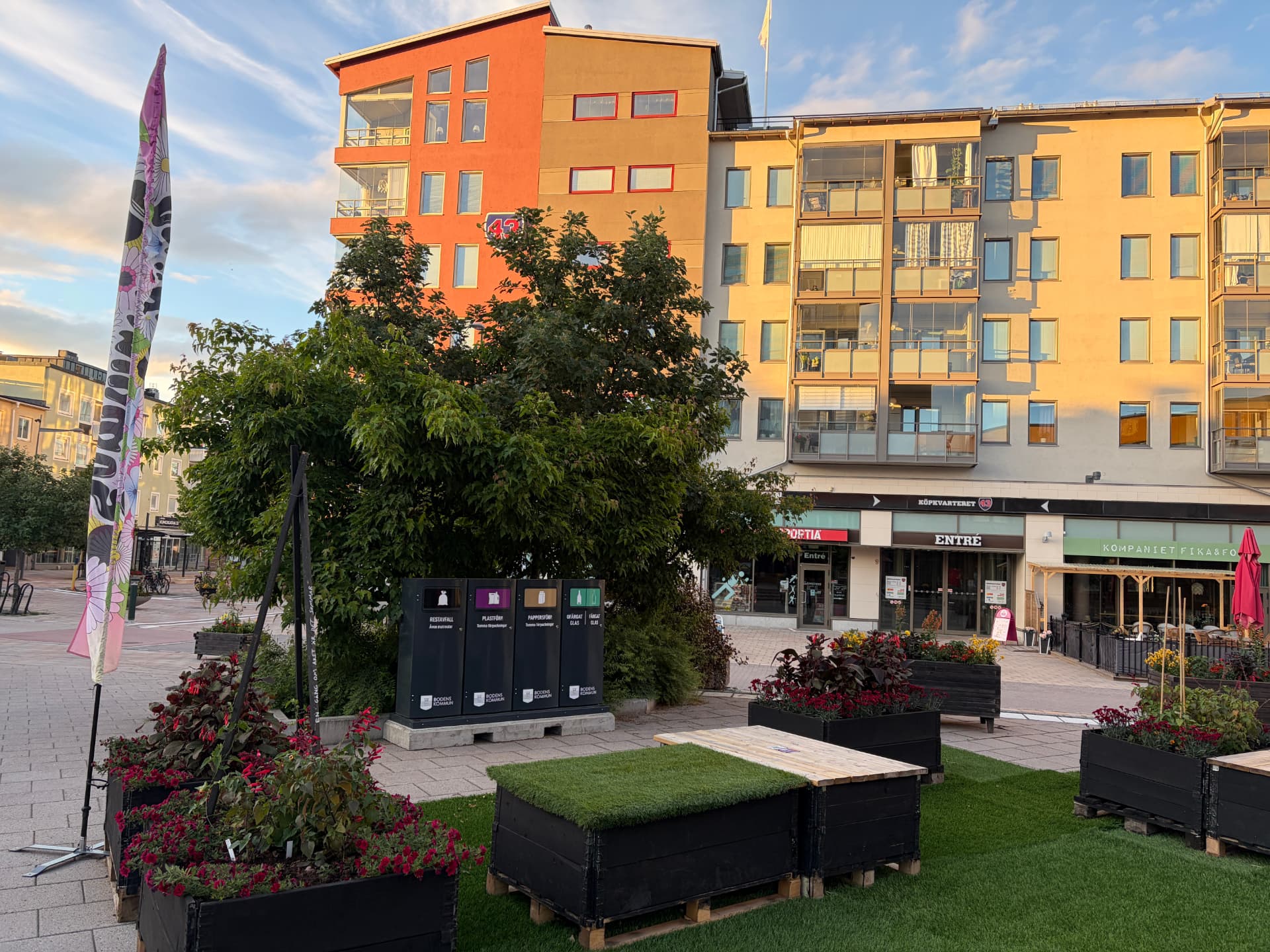 Mango M kärl med Bodens kommuns märkning på en planterad stadsyta