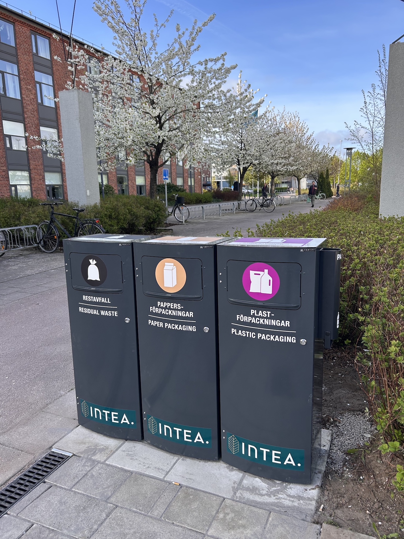 Tre Mango M-kärl vid Halmstad högskola